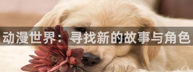 酷漫屋app下载安装官方最新：动漫世界：寻找新的故事与角色