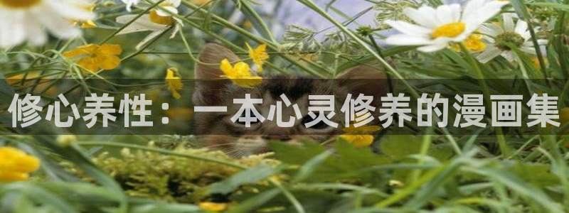 酷漫屋网入口页面：修心养性：一本心灵修养的漫画集