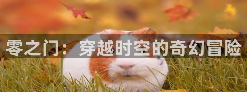 酷漫屋网入口页面：零之门：穿越时空的奇幻冒险
