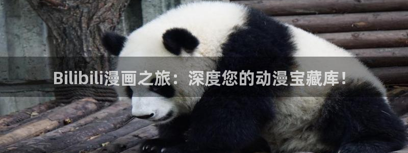 酷漫屋app下载：Bilibili漫画之旅：深度您的动漫宝藏库！