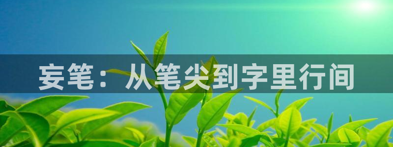 酷漫屋app下载安装：妄笔：从笔尖到字里行间