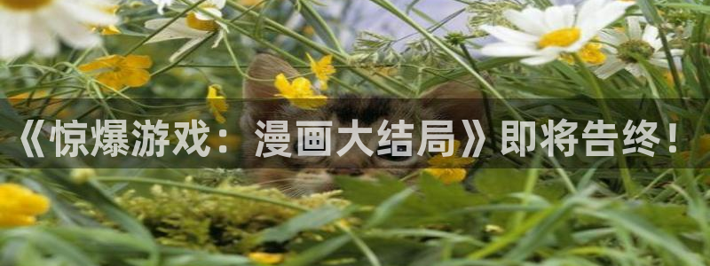 酷漫屋下拉式：《惊爆游戏：漫画大结局》即将告终！